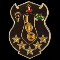 Iota jewel shield pin