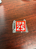Fall 25 Lapel pin