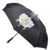SGRHO The Inverted Umbrella