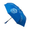 Zeta Phi Beta The Inverted Umbrella