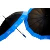 Zeta Phi Beta Classy Umbrella