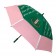 Giant Chameleon Umbrella